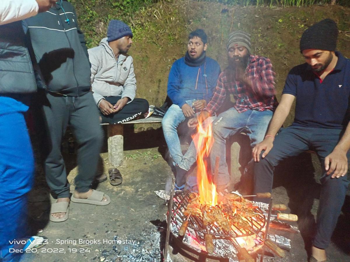Spring Brooks Homestay Dárdžiling Exteriér fotografie
