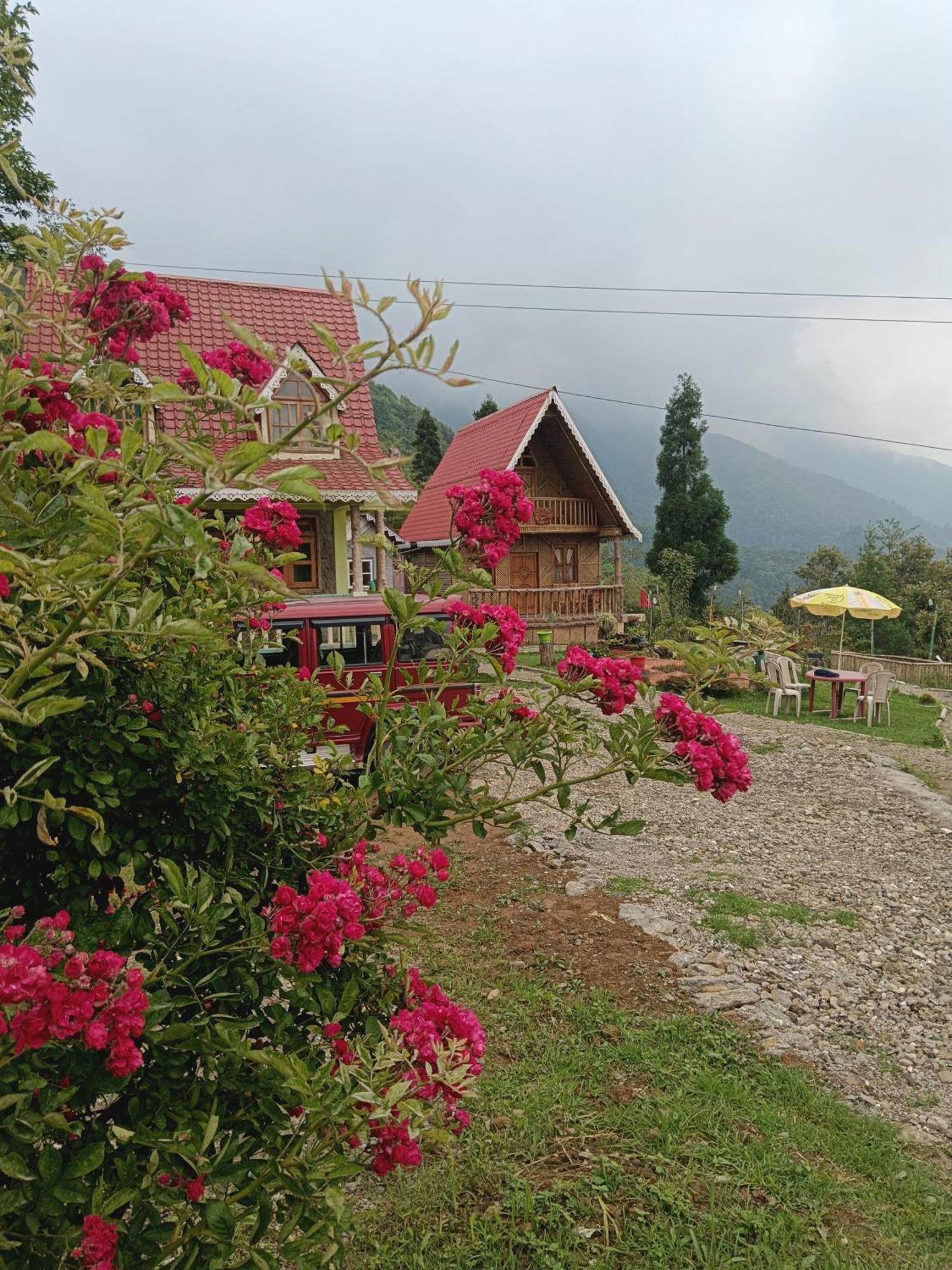 Spring Brooks Homestay Dárdžiling Exteriér fotografie